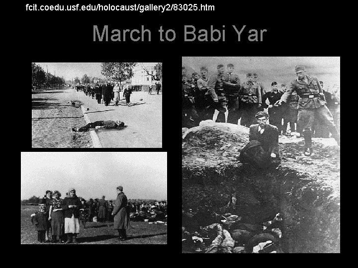 http: //fcit. coedu. usf. edu/holocaust/gallery 2/83025. htm March to Babi Yar 10 