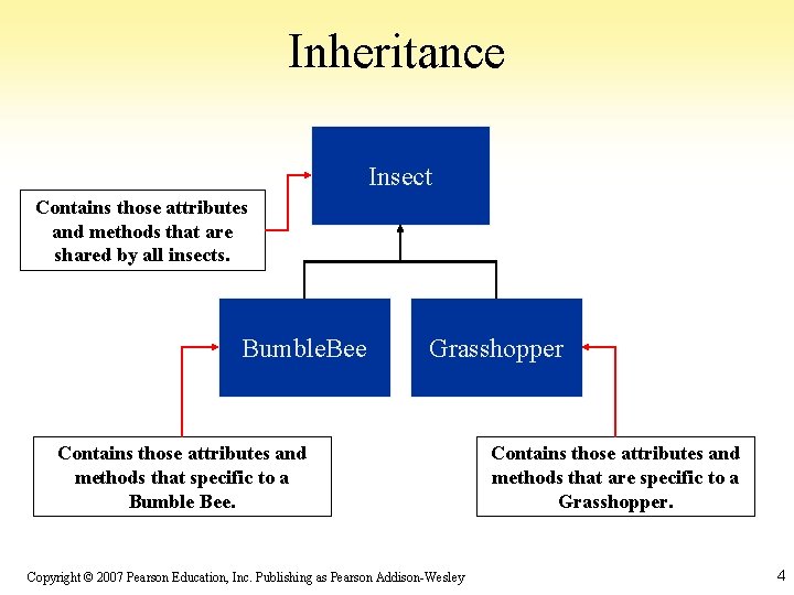 Inheritance Insect Contains those attributes and methods that are shared by all insects. Bumble.