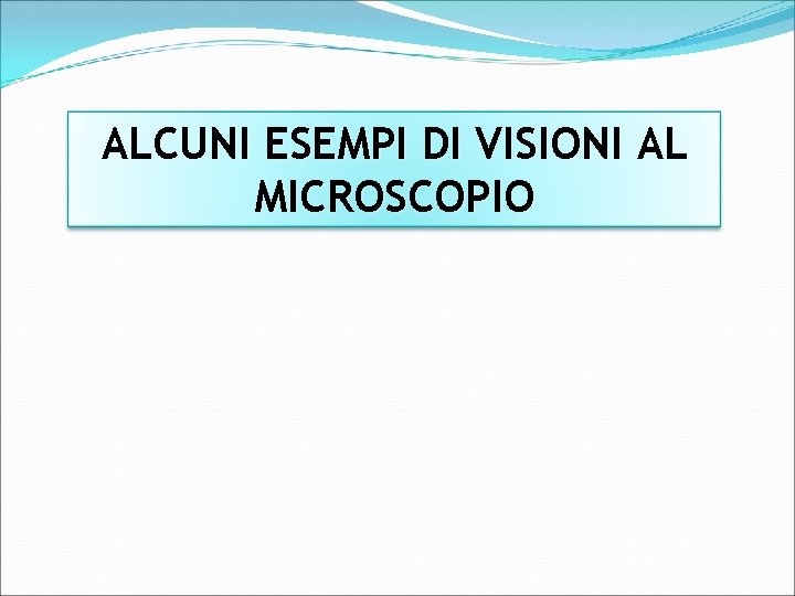 ALCUNI ESEMPI DI VISIONI AL MICROSCOPIO 