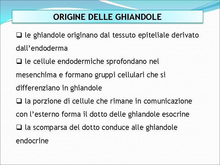 ORIGINE DELLE GHIANDOLE q le ghiandole originano dal tessuto epiteliale derivato dall’endoderma q le
