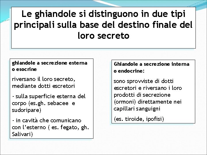 Le ghiandole si distinguono in due tipi principali sulla base del destino finale del