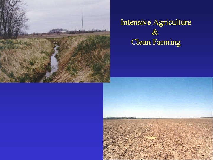 Intensive Agriculture & Clean Farming 