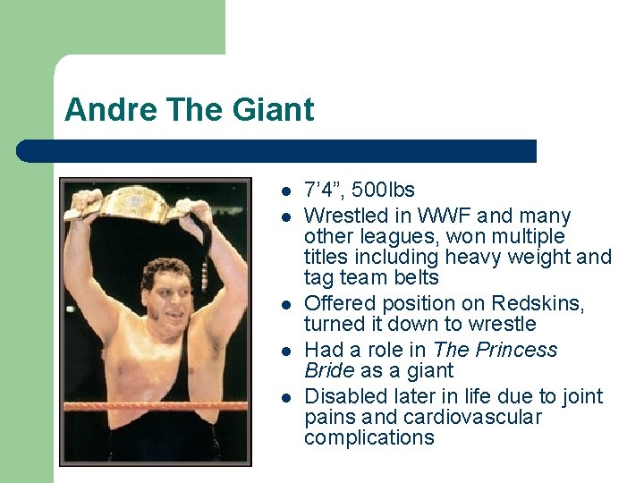 Andre The Giant l l l 7’ 4”, 500 lbs Wrestled in WWF and