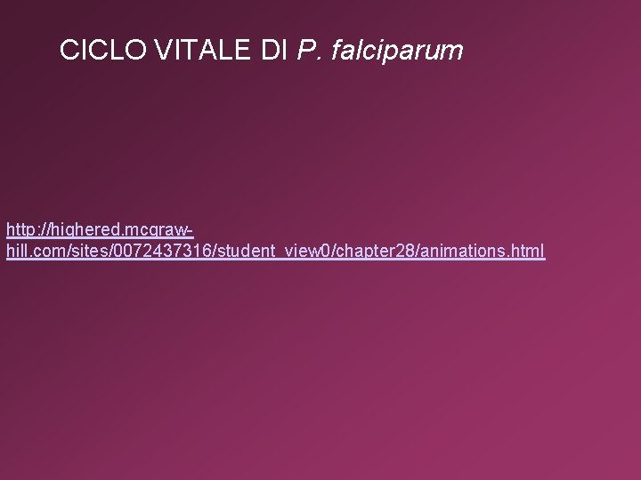 CICLO VITALE DI P. falciparum http: //highered. mcgrawhill. com/sites/0072437316/student_view 0/chapter 28/animations. html 