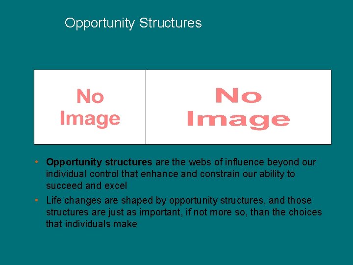 Opportunity Structures • Opportunity structures are the webs of influence beyond our individual control