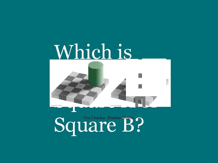 Which is darker: Square A or Square B? The Checker Shadow Illusion 