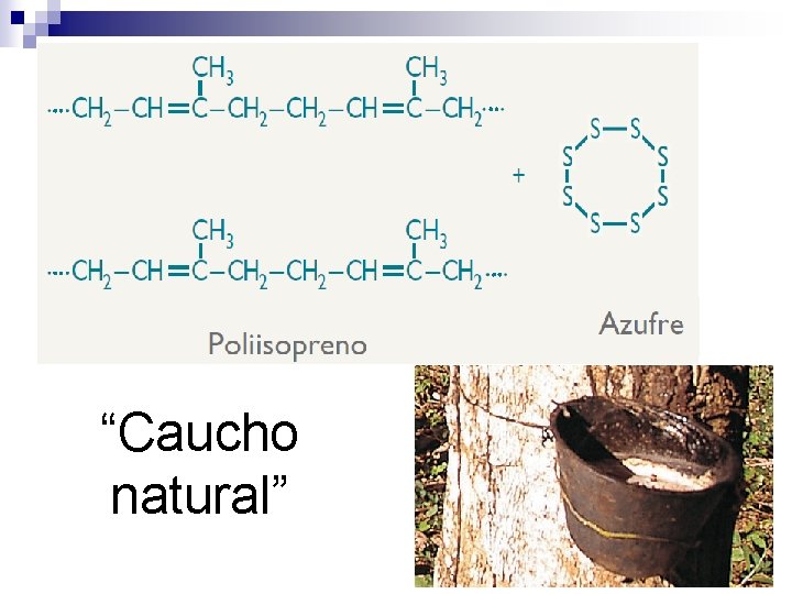 “Caucho natural” 