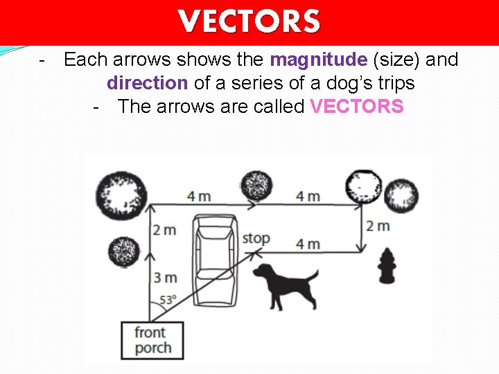 VECTORS - Each arrows shows the magnitude (size) and direction of a series of