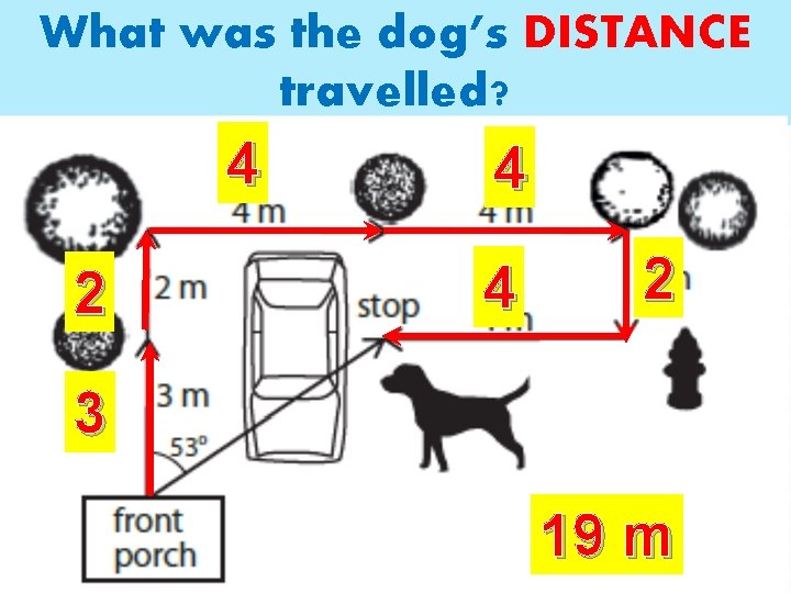 What was the dog’s DISTANCE travelled? 4 2 4 4 2 3 19 m