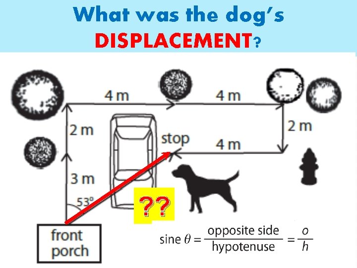 What was the dog’s DISPLACEMENT? ? ? 