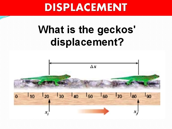 DISPLACEMENT What is the geckos' displacement? 