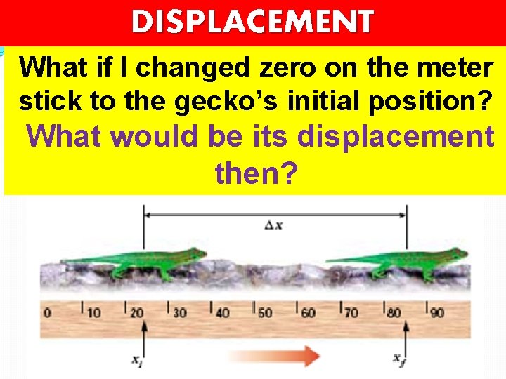 DISPLACEMENT What if I changed zero on the meter stick to the gecko’s initial