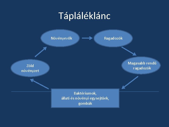 Tápláléklánc Növényevők Ragadozók Magasabb rendű ragadozók Zöld növényzet Baktériumok, állati és növényi egysejtűek, gombák