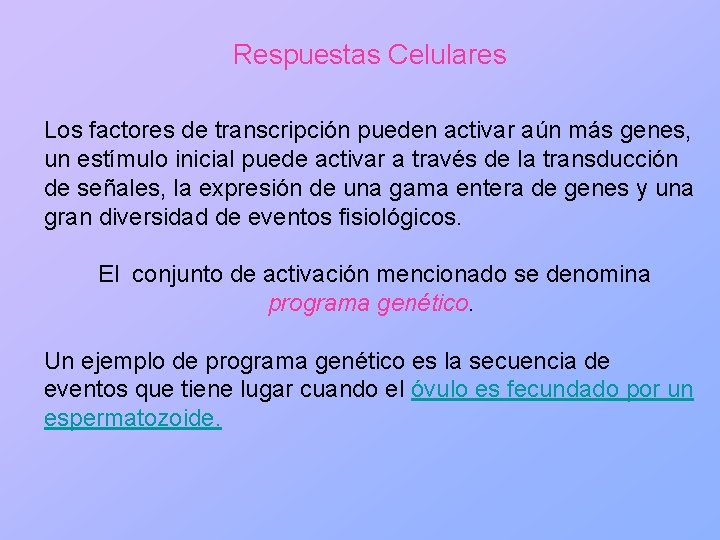 Respuestas Celulares Los factores de transcripción pueden activar aún más genes, un estímulo inicial