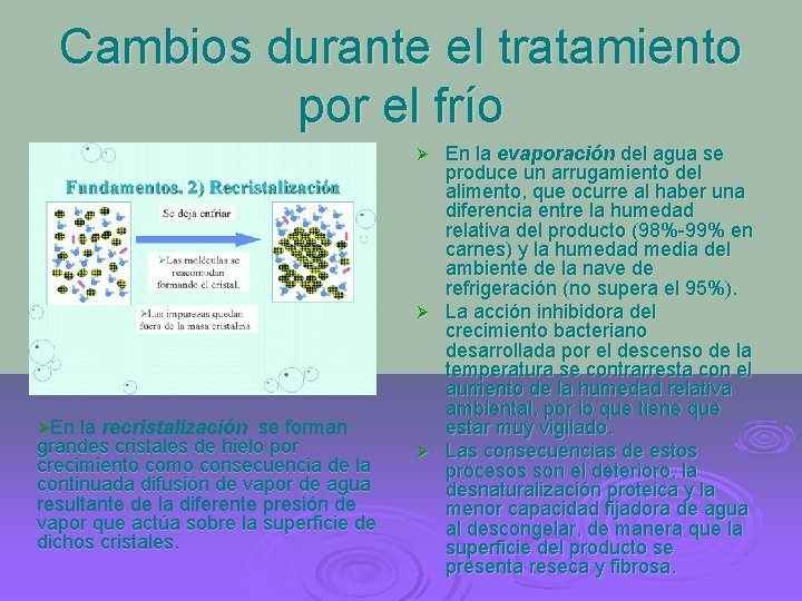 Cambios durante el tratamiento por el frío En la evaporación del agua se produce