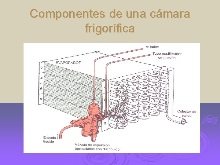 Componentes de una cámara frigorífica 