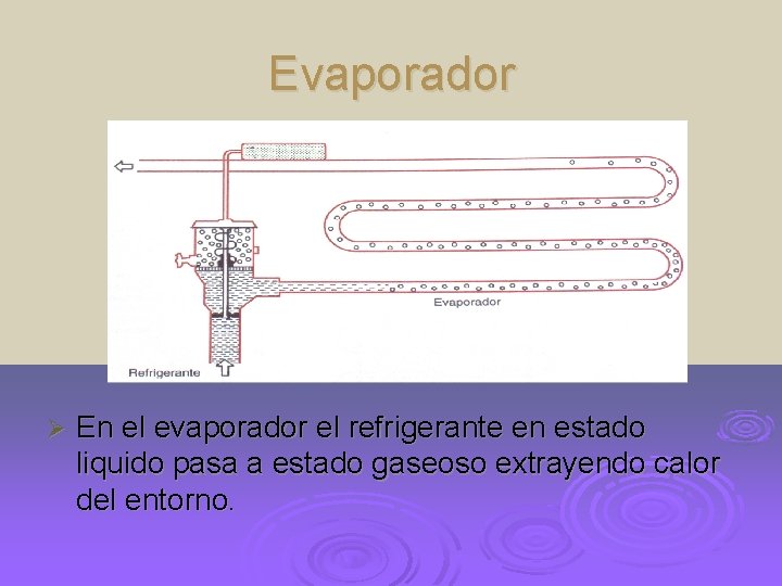 Evaporador Ø En el evaporador el refrigerante en estado liquido pasa a estado gaseoso