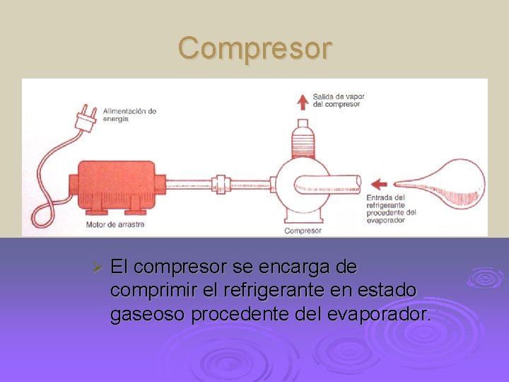 Compresor Ø El compresor se encarga de comprimir el refrigerante en estado gaseoso procedente