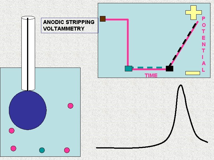 ANODIC STRIPPING VOLTAMMETRY TIME P O T E N T I A L 