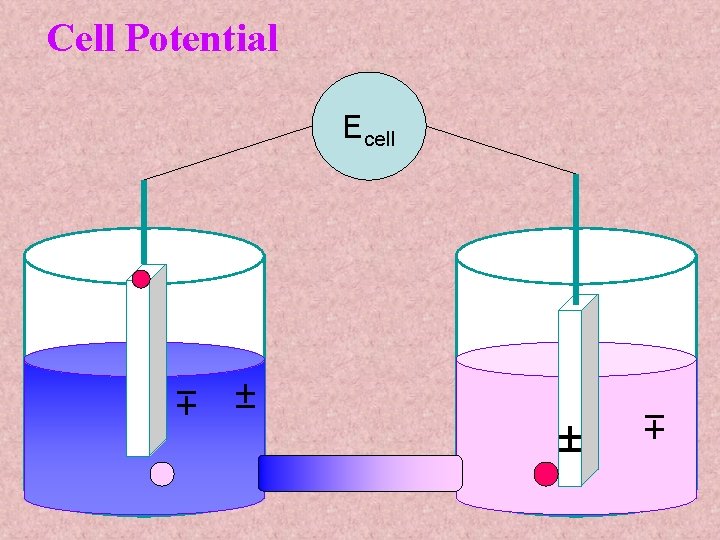 Cell Potential Ecell ± ± ± 