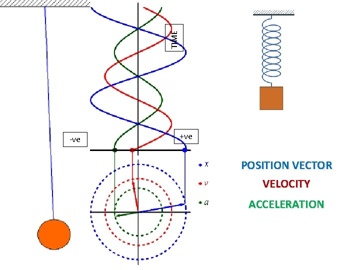 TIME -ve +ve POSITION VECTOR VELOCITY ACCELERATION 