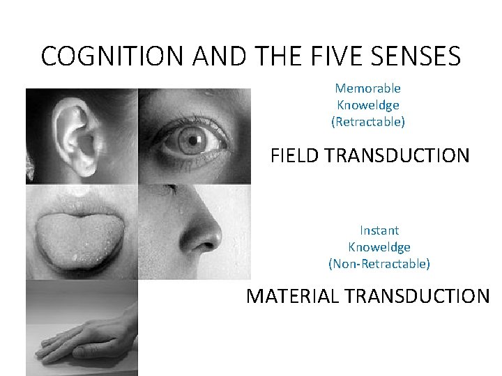 COGNITION AND THE FIVE SENSES Memorable Knoweldge (Retractable) FIELD TRANSDUCTION Instant Knoweldge (Non-Retractable) MATERIAL
