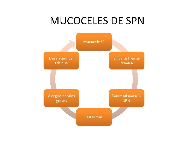 MUCOCELES DE SPN Mucocele SF Desviación del tabique Sinusitis frontal crónica Alergias nasales graves