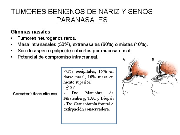 TUMORES BENIGNOS DE NARIZ Y SENOS PARANASALES Gliomas nasales • Tumores neurogenos raros. •