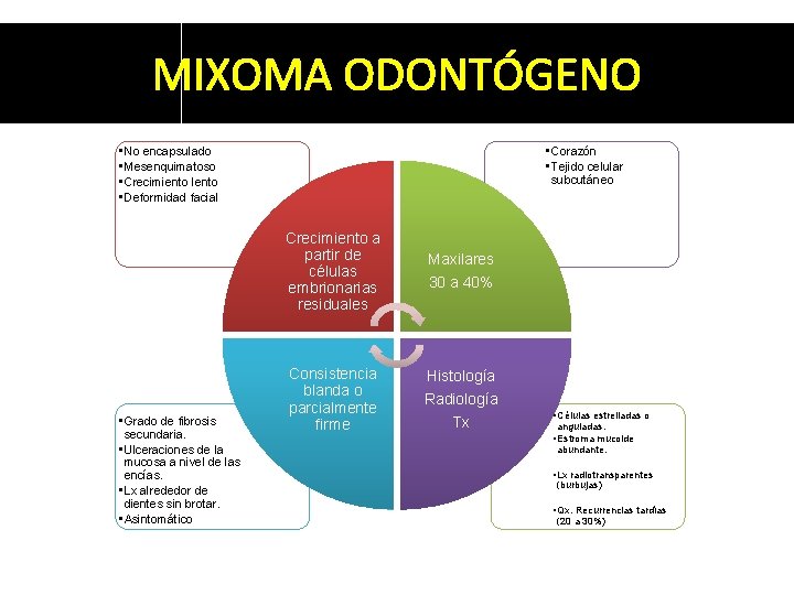 MIXOMA ODONTÓGENO • No encapsulado • Mesenquimatoso • Crecimiento lento • Deformidad facial •