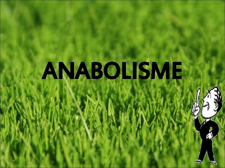 ANABOLISME 