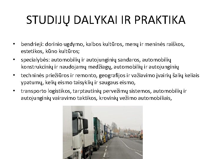 STUDIJŲ DALYKAI IR PRAKTIKA • bendrieji: dorinio ugdymo, kalbos kultūros, menų ir meninės raiškos,