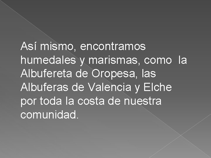 Así mismo, encontramos humedales y marismas, como la Albufereta de Oropesa, las Albuferas de