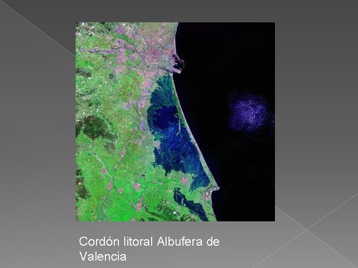 Cordón litoral Albufera de Valencia 