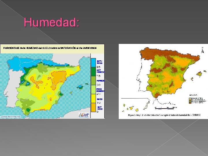 Humedad: 