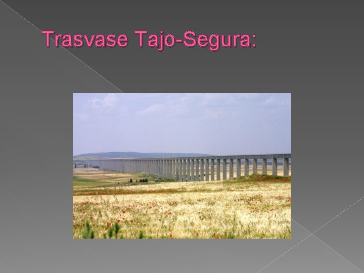 Trasvase Tajo-Segura: 