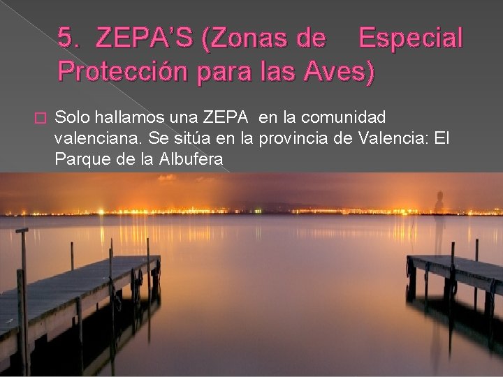 5. ZEPA’S (Zonas de Especial Protección para las Aves) � Solo hallamos una ZEPA