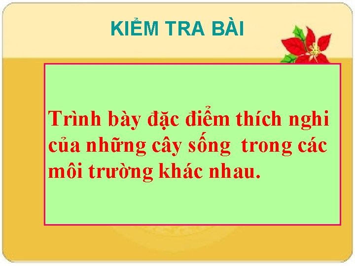 KIỂM TRA BÀI Trình bày đặc điểm thích nghi của những cây sống trong