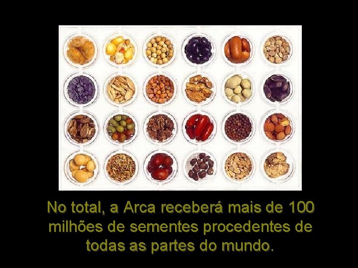 No total, a Arca receberá mais de 100 milhões de sementes procedentes de todas No total, a Arca receberá mais de 100 milhões de sementes procedentes de todas
