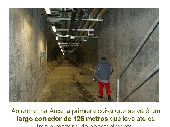 Ao entrar na Arca, a primeira coisa que se vê é um largo corredor Ao entrar na Arca, a primeira coisa que se vê é um largo corredor