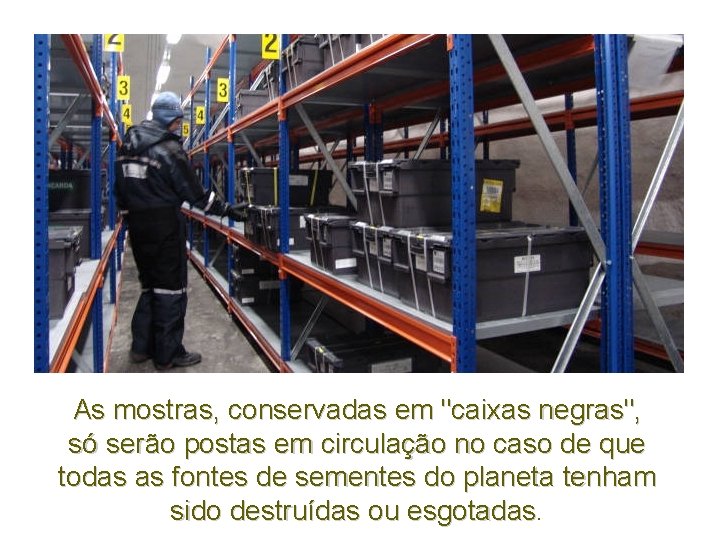 As mostras, conservadas em "caixas negras", só serão postas em circulação no caso de As mostras, conservadas em "caixas negras", só serão postas em circulação no caso de