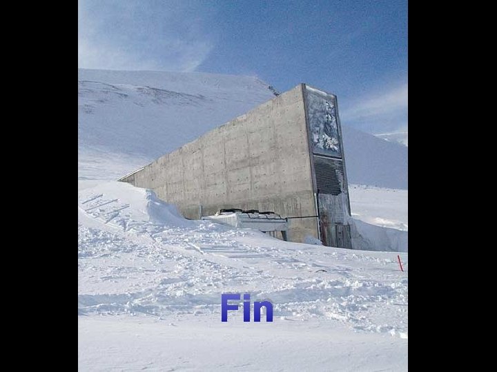 Fin Fin