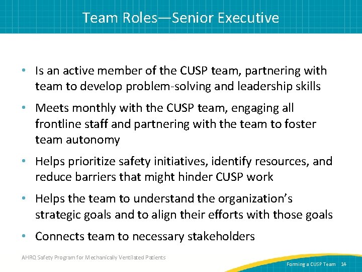 Team Roles—Senior Executive • Is an active member of the CUSP team, partnering with