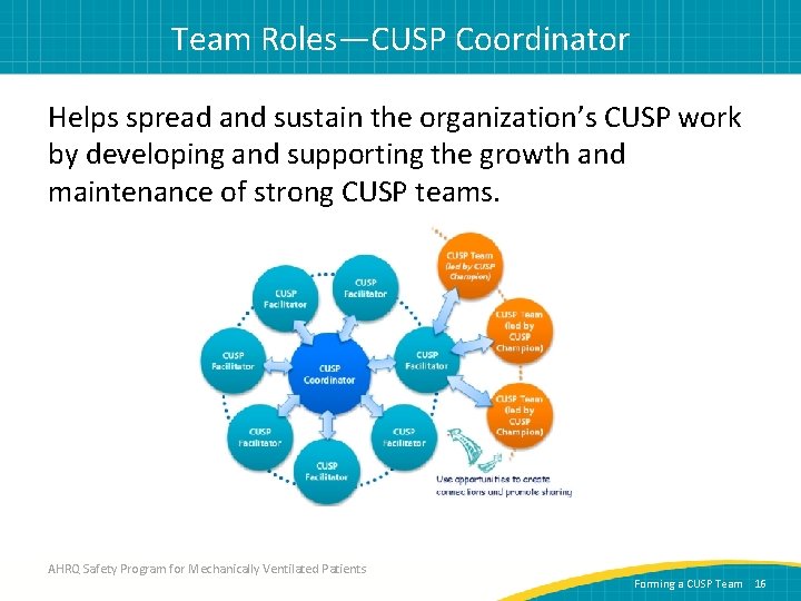Team Roles—CUSP Coordinator Helps spread and sustain the organization’s CUSP work by developing and