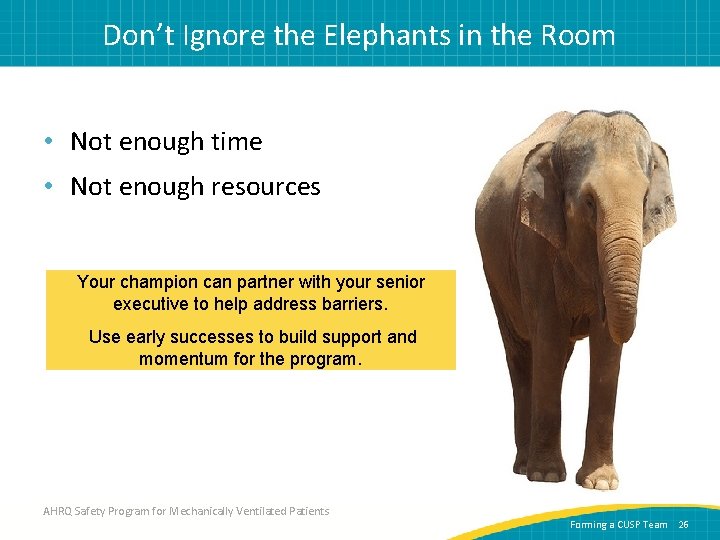 Don’t Ignore the Elephants in the Room • Not enough time • Not enough
