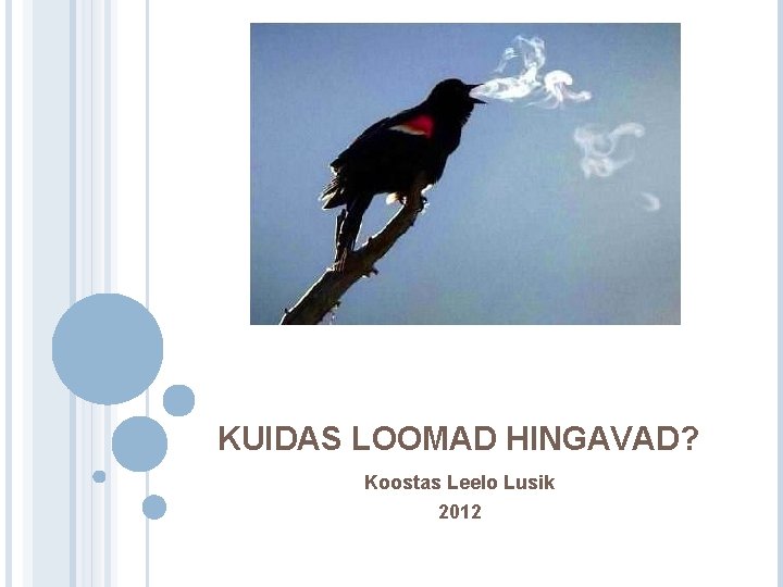 KUIDAS LOOMAD HINGAVAD? Koostas Leelo Lusik 2012 