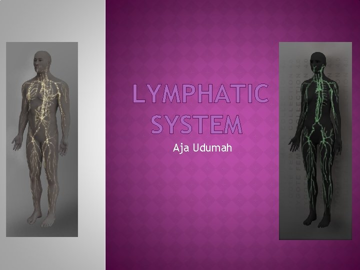 LYMPHATIC SYSTEM Aja Udumah 