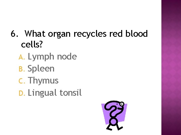 6. What organ recycles red blood cells? A. Lymph node B. Spleen C. Thymus