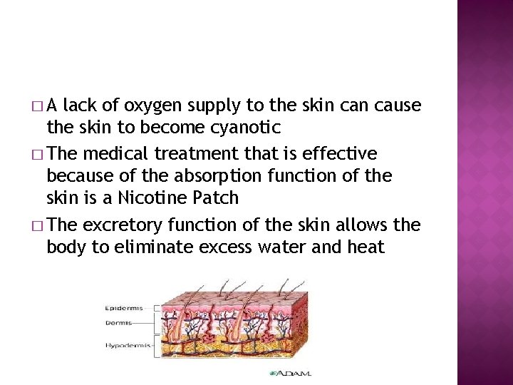 �A lack of oxygen supply to the skin cause the skin to become cyanotic