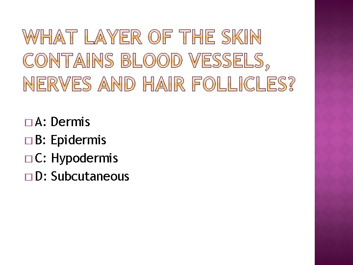 � A: Dermis � B: Epidermis � C: Hypodermis � D: Subcutaneous 