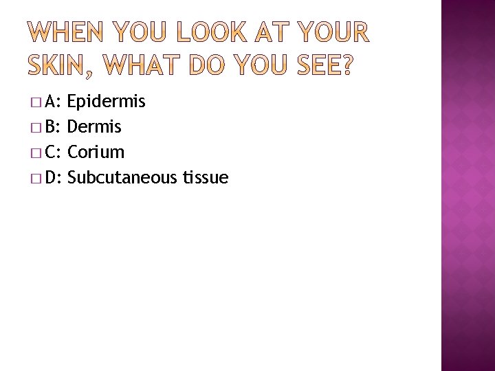 � A: Epidermis � B: Dermis � C: Corium � D: Subcutaneous tissue 